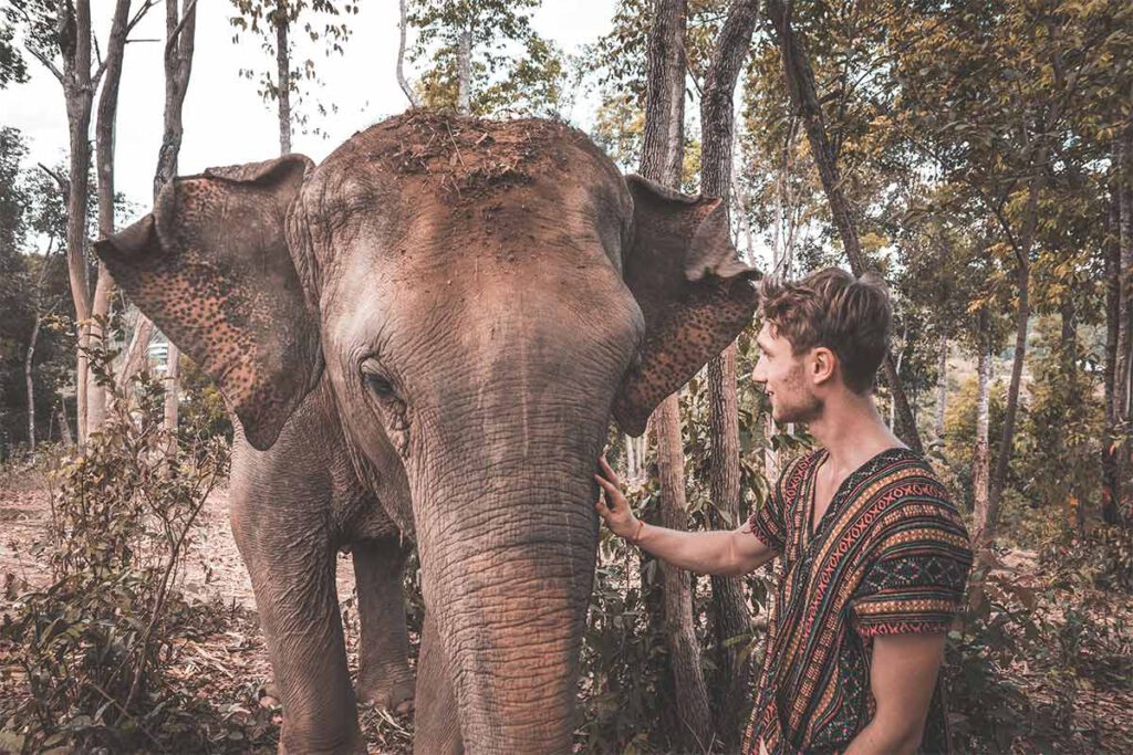 Thailand Rundreise Chiang Mai Elefantencamp